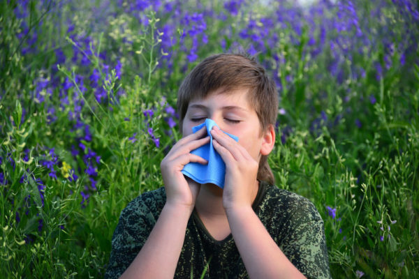 Záněty dýchacích ciest- alergie